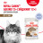 Royal Canin Agening 12+ влажный корм для стареющих кошек старше 12 лет, мелкие кусочки в желе, в паучах - 85 г х 28 шт