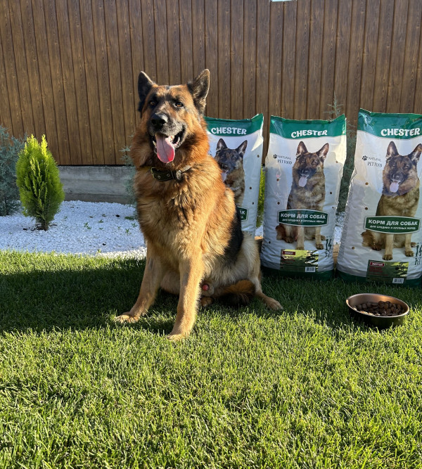 Chester Юниор сухой корм для щенков средних и крупных пород, мясное ассорти - 14 кг