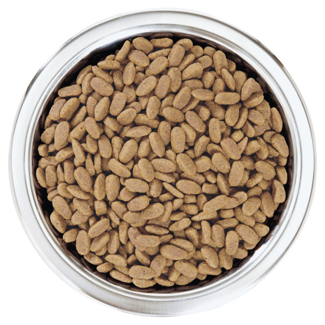 Pro Plan Adult Sensitive Skin сухой корм для взрослых собак мелких и карликовых пород с чувствительной кожей, с лососем - 3 кг