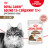 Royal Canin Agening 12+ влажный корм для стареющих кошек старше 12 лет, мелкие кусочки в соусе, в паучах - 85 г х 28 шт