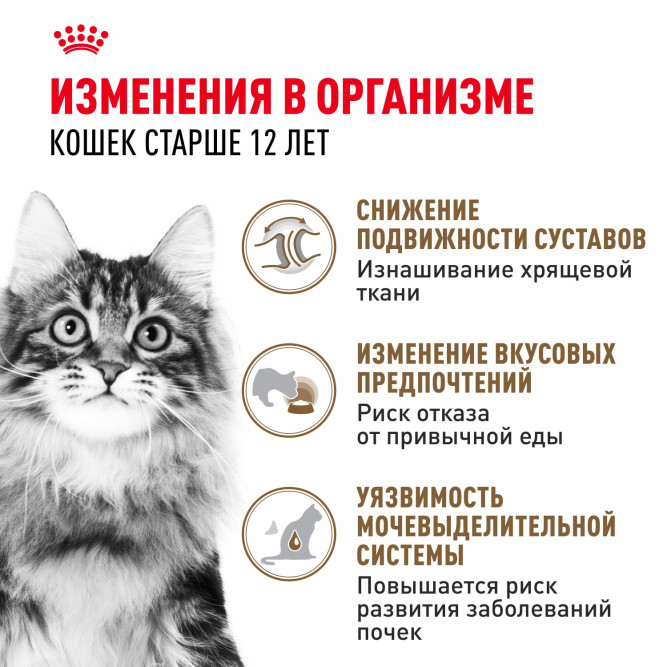 Royal Canin Agening 12+ влажный корм для стареющих кошек старше 12 лет, мелкие кусочки в соусе, в паучах - 85 г х 28 шт