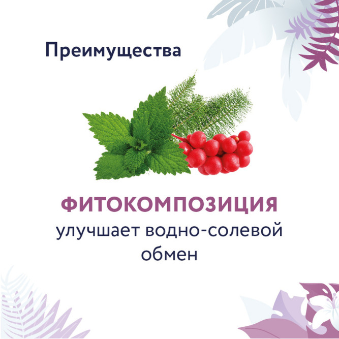 Florida Preventive Line Renal сухой диетический корм для взрослых кошек с заболеваниями почек - 500 г