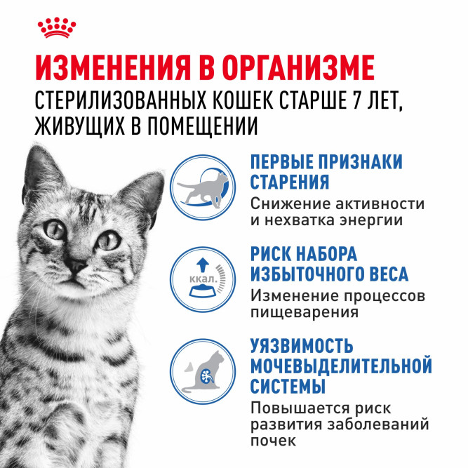 Royal Canin Indoor Sterilised 7+ влажный корм для стерилизованных кошек в возрасте от 7 до 12 лет, живущих в помещении, мелкие кусочки в желе, в паучах - 85 г х 28 шт