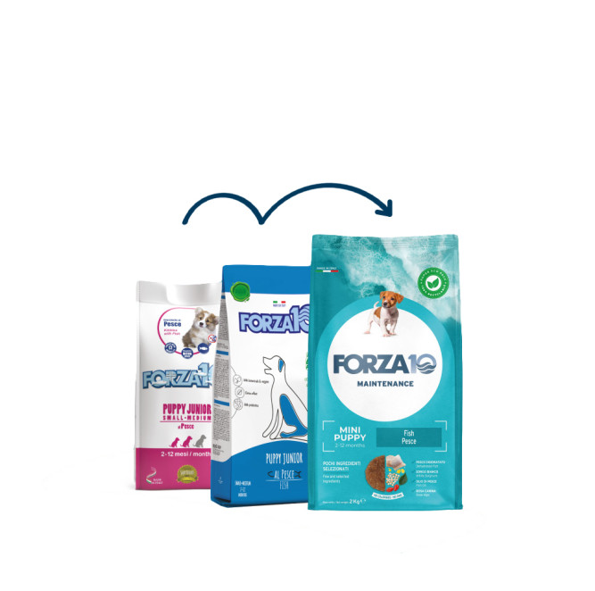 Forza10 Maintenance Puppy Mini Pesce сухой корм для щенков мелких пород с 2 до 12 мес и сук в период беременности и лактации, с рыбой - 2 кг