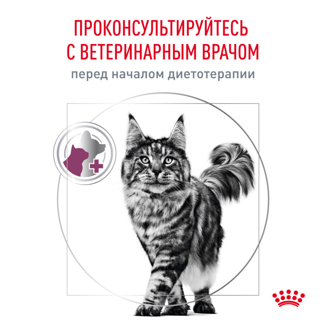 Royal Canin Renal With Beef влажный корм для взрослых кошек для поддержания функции почек с говядиной, кусочки в соусе, в паучах - 85 г х 28 шт