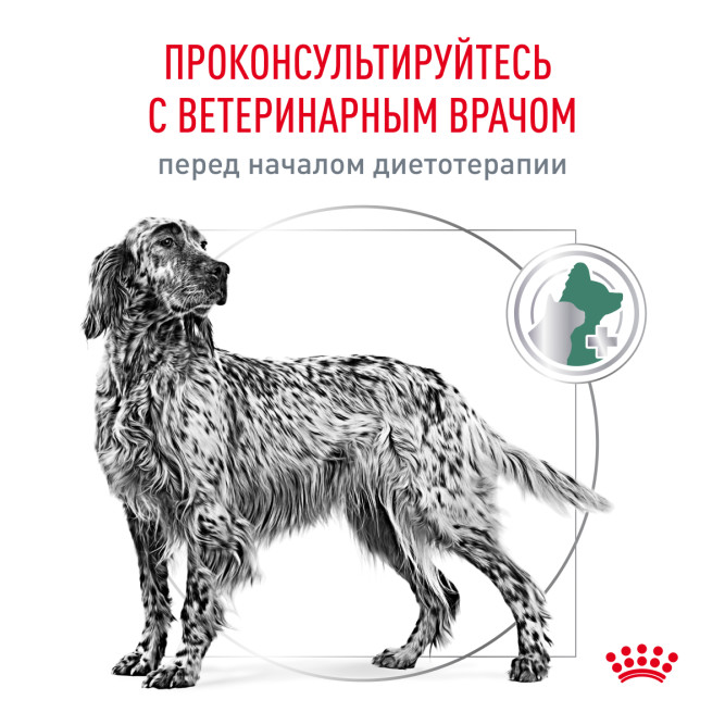 Royal Canin Diabetic Canine DS37 сухой корм для собак при ожирении 2 - й стадии или при сахарном диабете - 12 кг