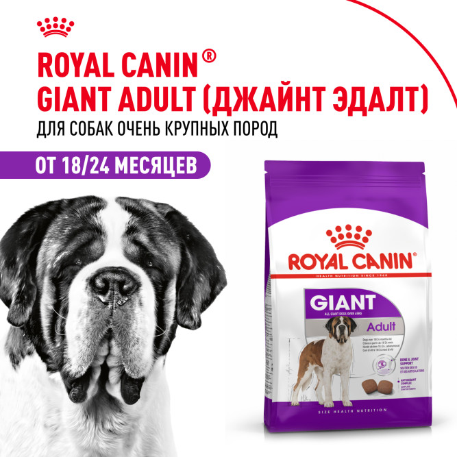 Royal Canin Giant Adult сухой корм для взрослых собак гигантских пород - 15 кг