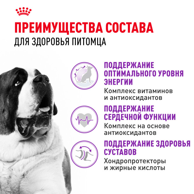 Royal Canin Giant Adult сухой корм для взрослых собак гигантских пород - 15 кг