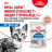 Royal Canin Indoor Sterilised 7+ влажный корм для стерилизованных кошек в возрасте от 7 до 12 лет, живущих в помещении, мелкие кусочки в соусе, в паучах - 85 г х 28 шт