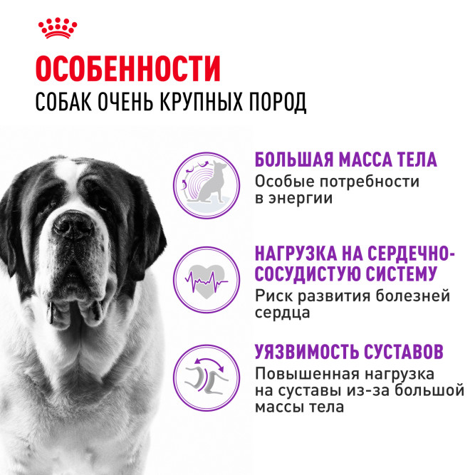 Royal Canin Giant Adult корм для собак гигантских пород старше 18/24 месяцев - 4 кг