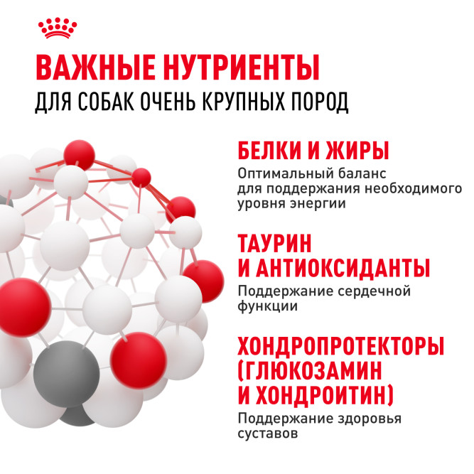 Royal Canin Giant Adult корм для собак гигантских пород старше 18/24 месяцев - 4 кг
