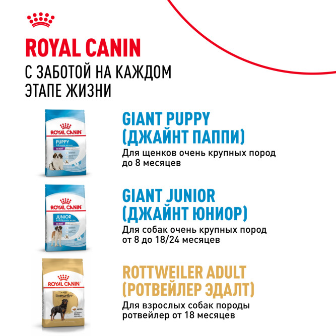 Royal Canin Giant Adult корм для собак гигантских пород старше 18/24 месяцев - 4 кг