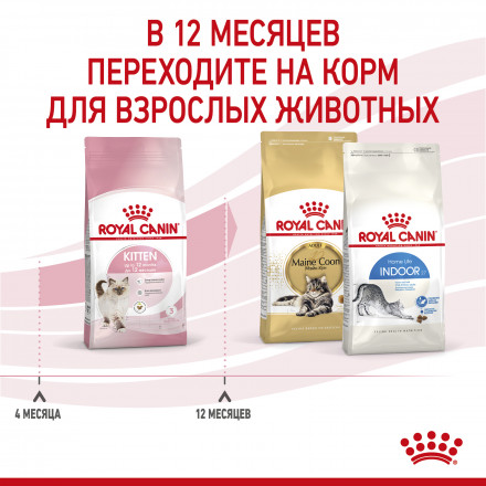 Royal Canin Kitten 34 сухой корм для котят от 4 до 12 месяцев с птицей - 4 кг