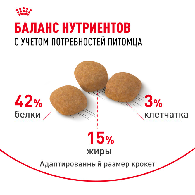 Royal Canin Exigent Protein Preference сухой корм для взрослых кошек привередливых к составу - 2 кг