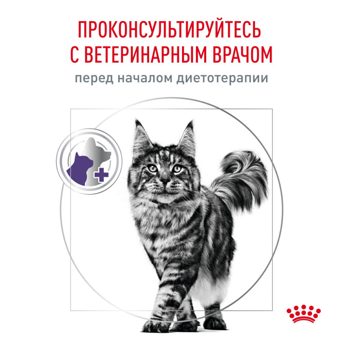 Royal Canin Neutered Balance влажный корм для взрослых стерилизованных кошек, склонных к набору веса, мелкие кусочки в соусе, в паучах - 85 г х 28 шт