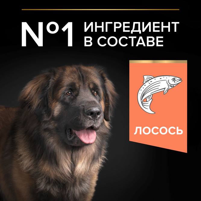 Pro Plan Adult Sensitive Skin сухой корм для взрослых собак крупных пород с мощным телосложением с чувствительной кожей, с лососем - 14 кг