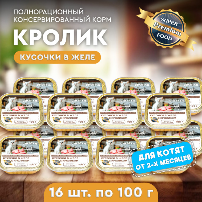 Chester влажный корм для котят, кусочки в желе с кроликом, в ламистерах - 100 г х 16 шт