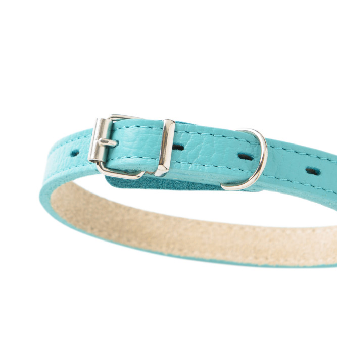 Mr.Kranch ошейник для собак, из натуральной кожи, прямой, 29-35 см, бирюзовый