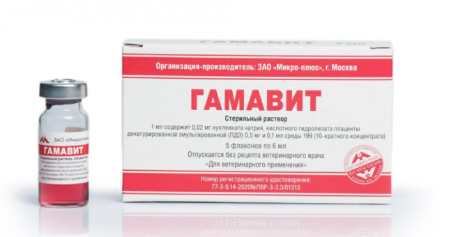 Гамавит иммунностимулирующее средство -  5 флак х 6 мл