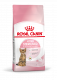 Royal Canin Kitten Sterilised сухой корм для стерилизованных котят - 3,5 кг