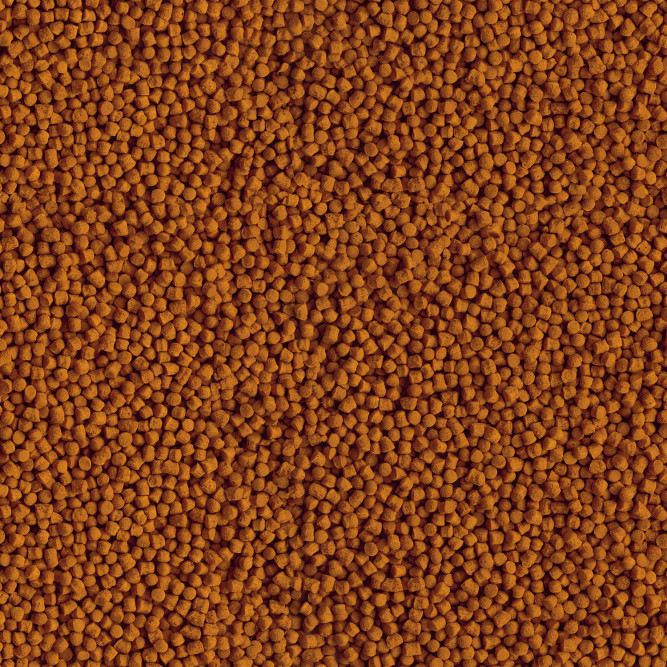 TetraGoldfish Energy Sticks энергетический корм для золотых рыб в палочках 250 мл