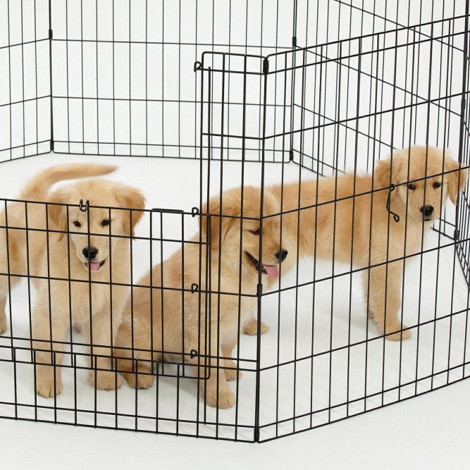 MidWest вольер Life Stages 8 панелей с дверью-MAXLock черный 61х107 см