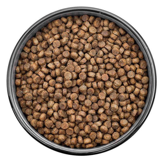 Florida сухой корм для взрослых кошек с чувствительным пищеварением с индейкой и яблоком 3+1 кг