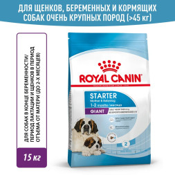 Royal Canin Giant Starter сухой корм для щенков до 2 месяцев, беременных и лактирующих собак гигантских пород - 15 кг