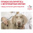 Royal Canin Mobility MC25 C2P+ для взрослых собак при заболеваниях костей и суставов 2 кг