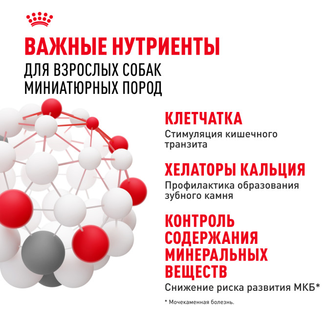 Royal Canin X-Small Adult для собак миниатюрных размеров от 10 месяцев до 8 лет - 1,5 кг