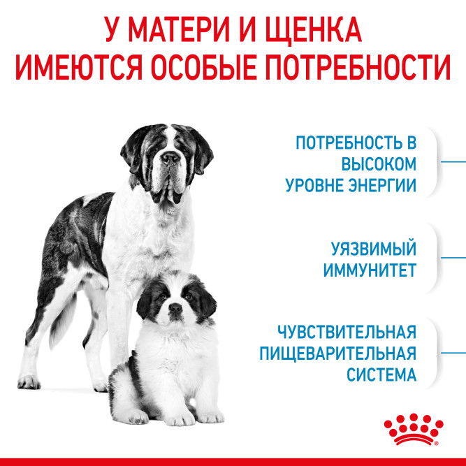 Royal Canin Giant Starter Mother &amp; Babydog для щенков крупных размеров до 2-месяцев и сук в последней трети беременности и во время лактации - 4 кг