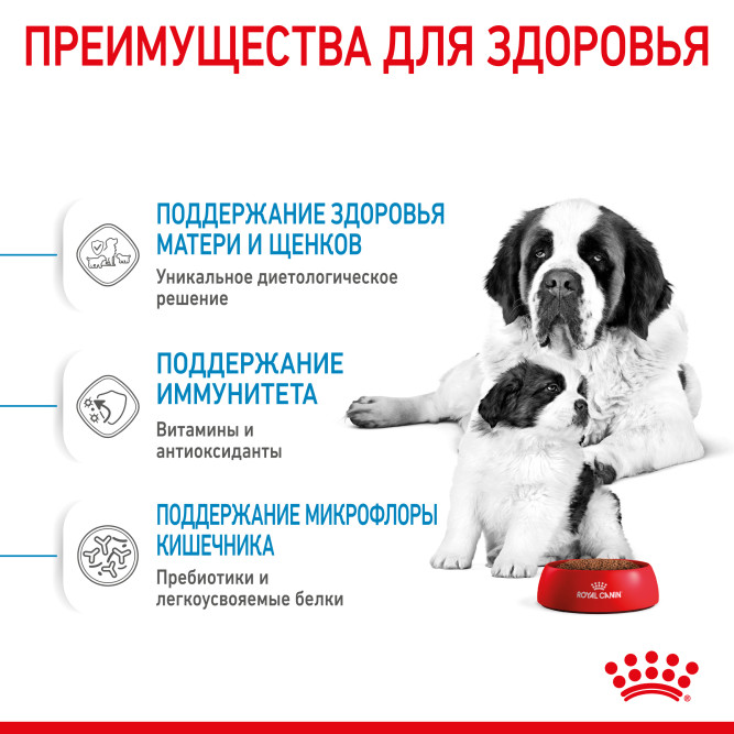 Royal Canin Giant Starter Mother &amp; Babydog для щенков крупных размеров до 2-месяцев и сук в последней трети беременности и во время лактации - 4 кг