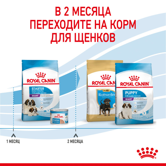 Royal Canin Giant Starter Mother &amp; Babydog для щенков крупных размеров до 2-месяцев и сук в последней трети беременности и во время лактации - 4 кг