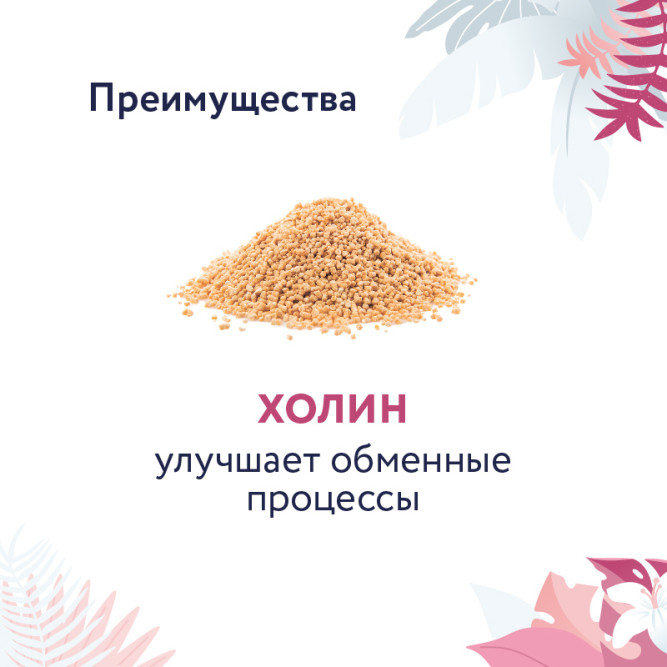 Florida Preventive Line Hepatic сухой диетический корм для взрослых собак при заболеваниях печени - 600 г