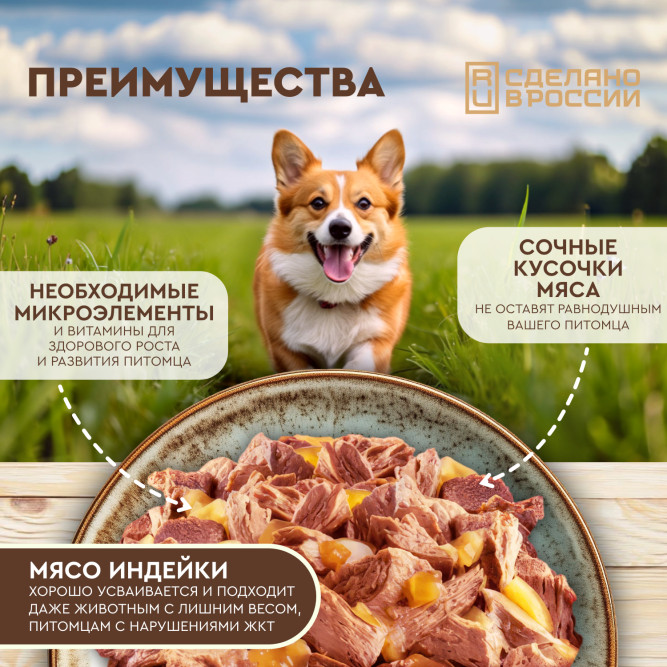 Chester влажный корм для взрослых собак всех пород, сочные кусочки мяса с индейкой в желе, в ламистерах - 100 г х 16 шт