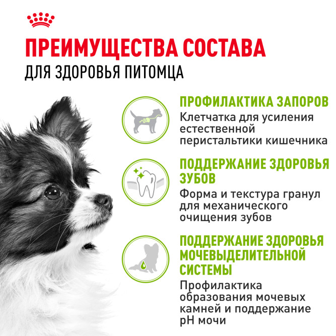 Royal Canin X - Small Adult сухой корм для собак миниатюрных пород от 10 месяцев до 8 лет - 3 кг