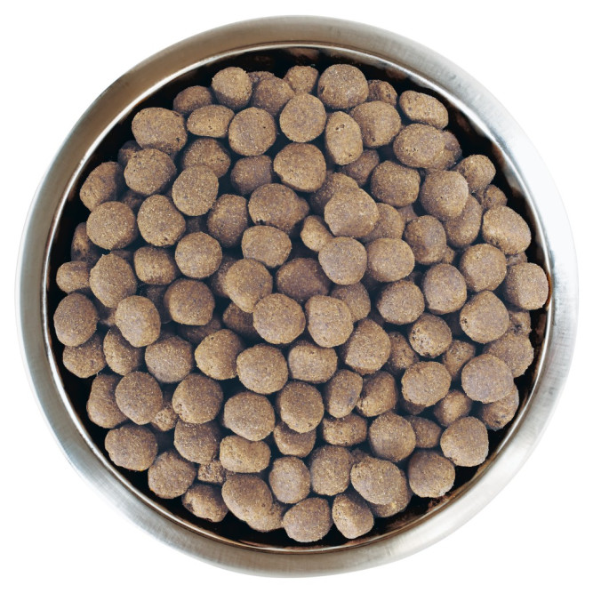 Pro Plan Adult Large Robust сухой корм для взрослых собак крупных пород с мощным телосложением с курицей - 3 кг