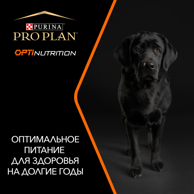 Pro Plan Adult Large Robust сухой корм для взрослых собак крупных пород с мощным телосложением с курицей - 3 кг