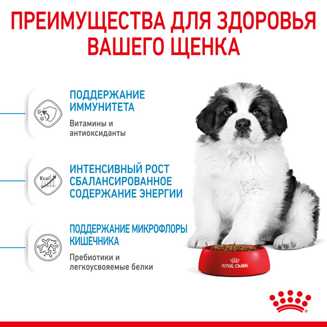 Royal Canin Giant Puppy сухой корм для щенков гигантских пород с курицей - 3,5 кг