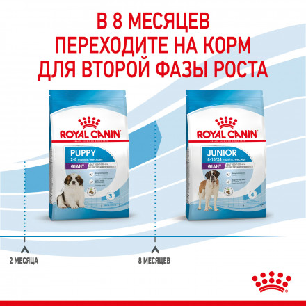 Royal Canin Giant Puppy сухой корм для щенков гигантских пород с курицей - 3,5 кг