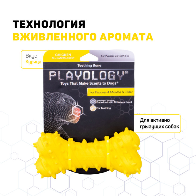 Playology PUPPY TEETHING BONE дентальная хрустящая жевательная косточка для щенков с ароматом курицы, желтый