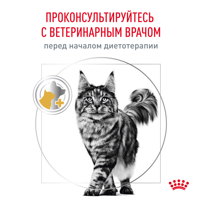 Royal Canin Urinary S/O Moderate Calorie сухой диетический корм для взрослых кошек, склонных к набору веса, при мочекаменной болезни - 350 г