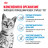 Royal Canin Feline Indoor 7+ сухой корм для пожилых кошек с 7 до 12 лет, постоянно проживающих в помещении - 400 г