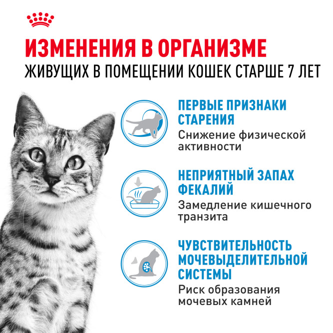 Royal Canin Feline Indoor 7+ сухой корм для пожилых кошек с 7 до 12 лет, постоянно проживающих в помещении - 400 г