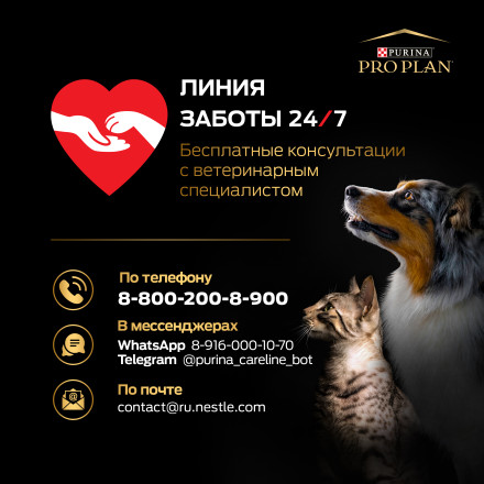 Pro Plan Sterilised сухой корм для взрослых кошек для поддержания здоровья почек после стерилизации с индейкой - 3 кг