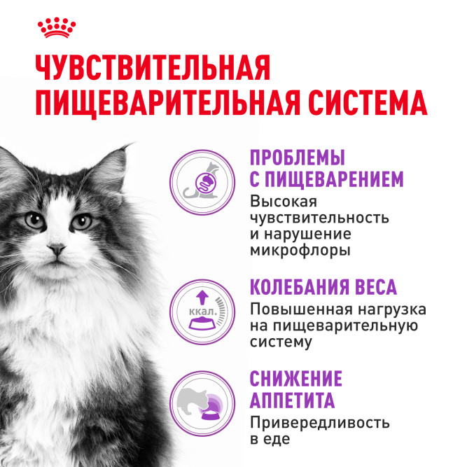 Royal Canin Sensible 33 сухой корм для взрослых кошек с чувствительной пищеварительной системой - 400 г