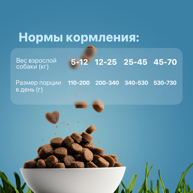 Дилли сухой корм для активных собак - 14 кг