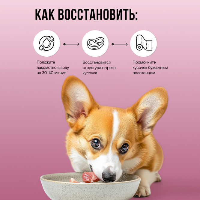 BOWL WOW лакомство сублимированное для взрослых собак и щенков всех пород, легкое говяжье - 100 г