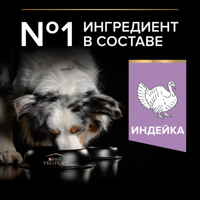 Purina Pro Plan Optidigest Grain Free сухой беззерновой корм для взрослых собак средних и крупных пород с чувствительным пищеварением с индейкой - 2,5 кг