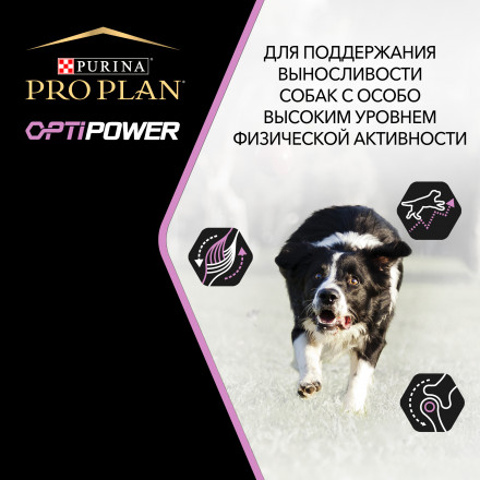 Pro Plan Adult Performance сухой корм для активных и рабочих взрослых собак с курицей и рисом - 14 кг